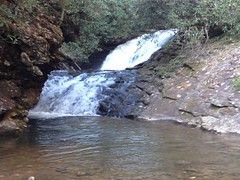 Sea Creek Falls 