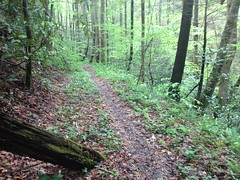 Mountaintown Creek Trail 