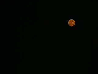 full moon in leo