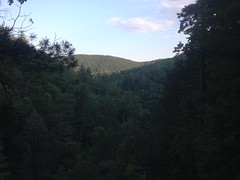 Another View From the Top of Davis Creek Falls 