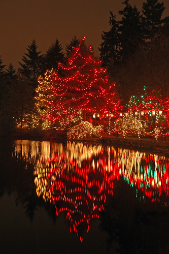 Christmas lights Van Dusen Gardens in Vancouver, Canada