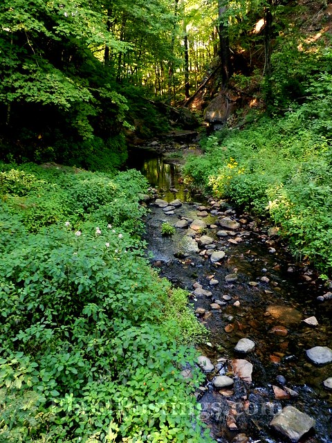 stream through glen