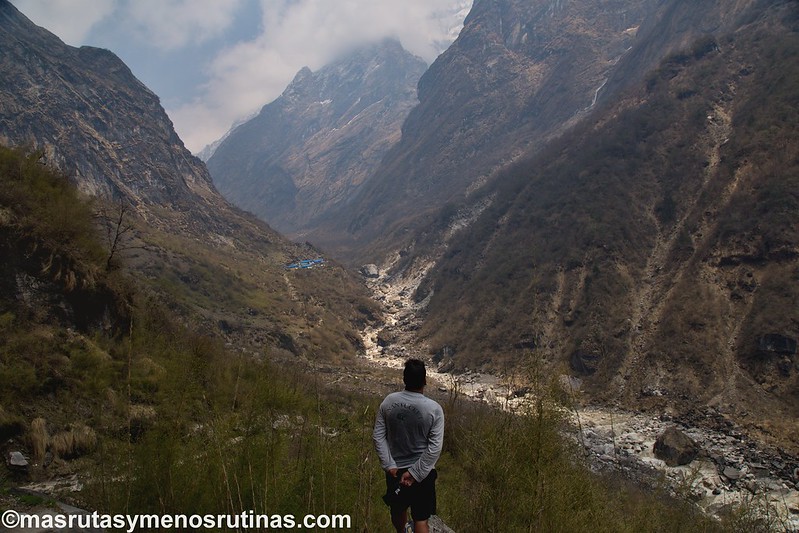 Trek ABC. De Sinuwa (2320 m) a Deurali (3150 m) - NEPAL 2016. Trek al Annapurna Sanctuary (ABC) (10)