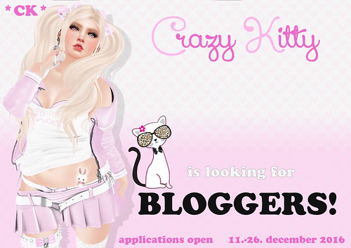 Crazy Kitty is looking for bloggers