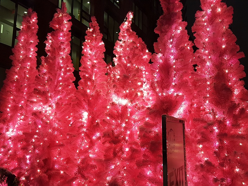 pink Christmas trees
