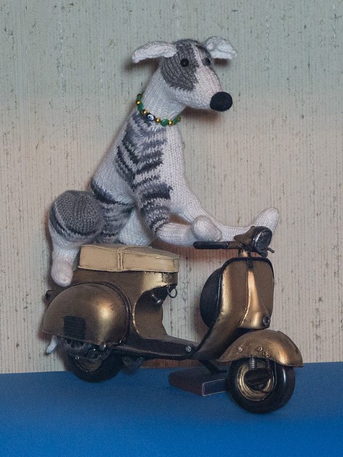 moped whippel