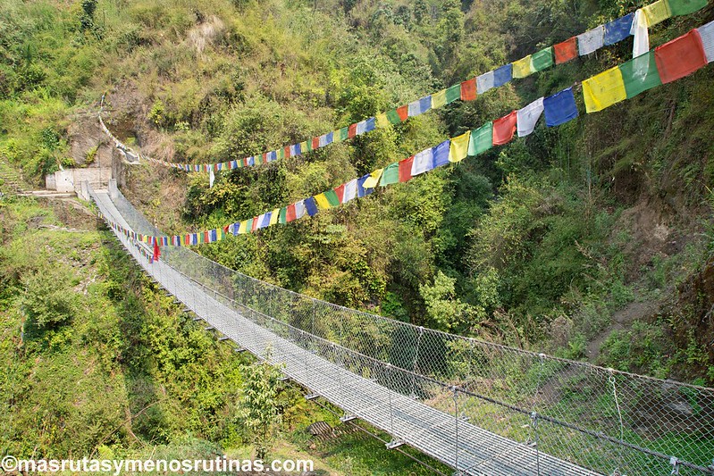NEPAL 2016. Trek al Annapurna Sanctuary (ABC) - Blogs de Nepal - Trek ABC. De Chuille (2270 m) a Sinuwa (2320 m) (9)