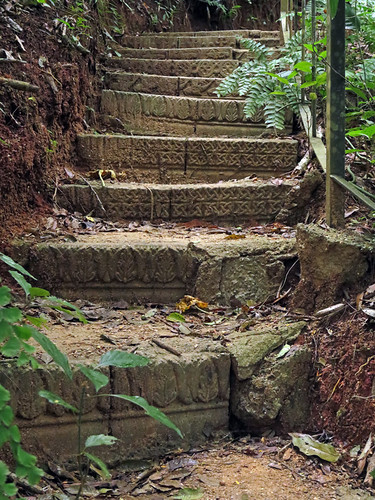 Stairs leading upwards on a Puerto Vallarta Botanical Garden Trail