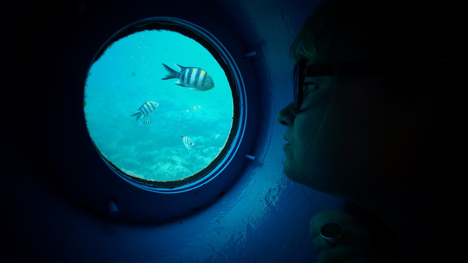 Ambré looking for Nemo (She found him) #SonyA7 #Voigtlander12mm #Okinawa #japan15 #foto