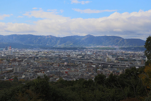 Fushimi Inari-taisha shrine red Tori gates walk view
