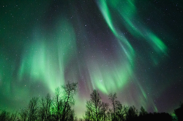 Nortern lights over Troms