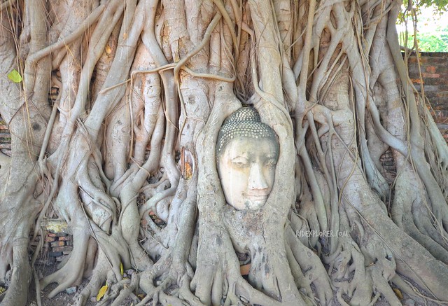 ayutthaya historical park wat mahathat