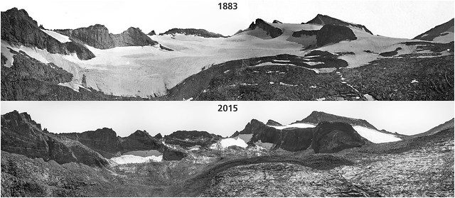 Lyell Glacier 2015