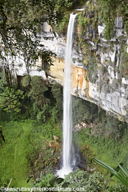 Yumbilla. Cataratas en el bosque primario de Cuispes - Por el norte de PERÚ. De los glaciares a la selva (13)