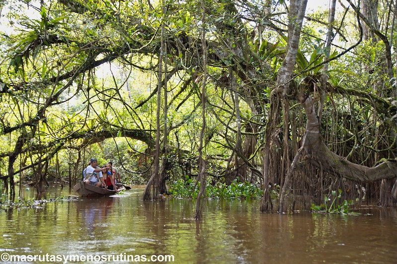 Tingana. Navegando en canoa entre melodías y aromas - Por el norte de PERÚ. De los glaciares a la selva (5)