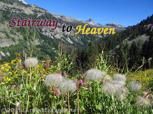 Stairway to Heaven in the Jedediah Smith Wilderness of Wyoming