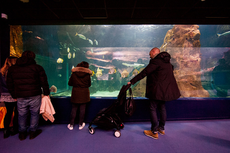 Musée de la Mer Aquarium de Biarritz