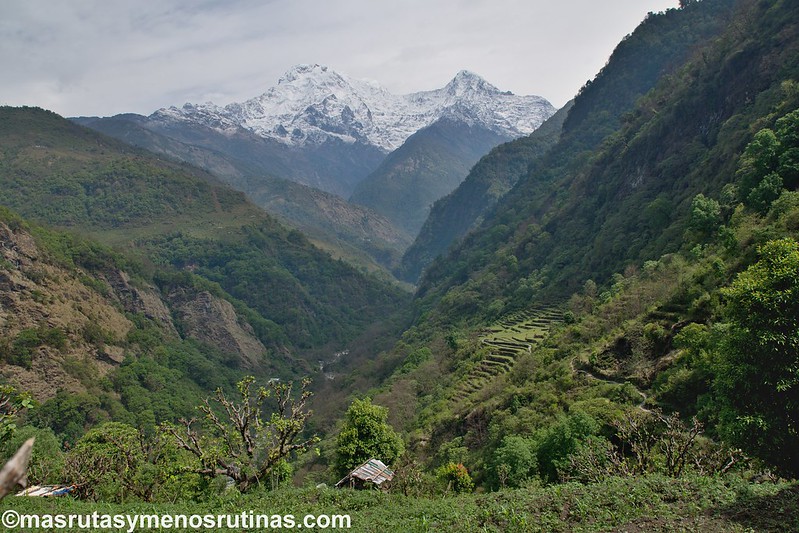 Trek ABC. De Jhinu (1750 m) a Pothana (2000 m) - NEPAL 2016. Trek al Annapurna Sanctuary (ABC) (14)