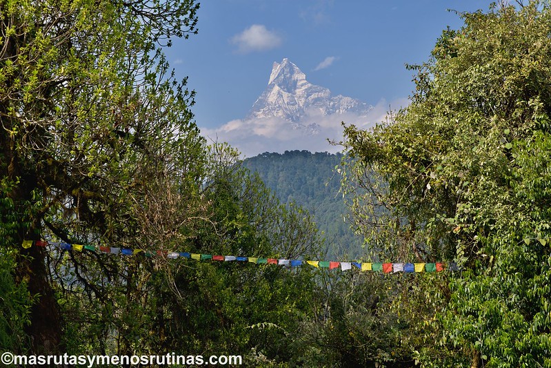 Trek ABC. De Jhinu (1750 m) a Pothana (2000 m) - NEPAL 2016. Trek al Annapurna Sanctuary (ABC) (28)