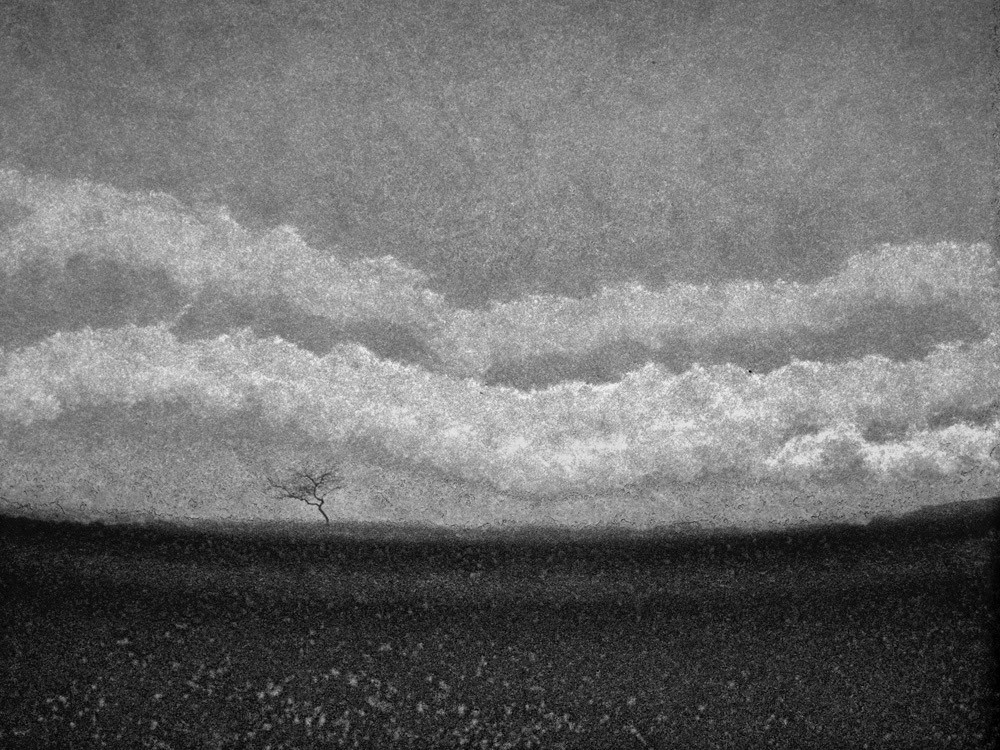 Meadow Horizon | by LowerDarnley