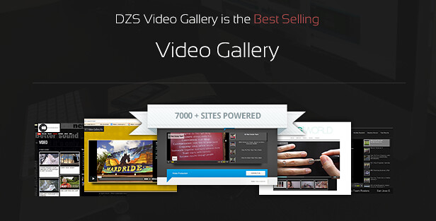 DZS Video Gallery is the best selling video gallery