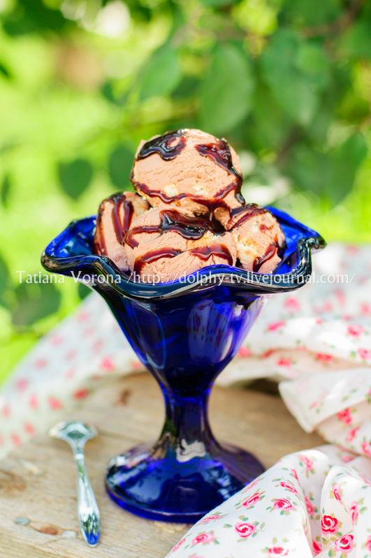 Chocolate Ice Cream with Fudge Sauce in a Blue Bowl