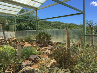 Botanical Garden Windhoek