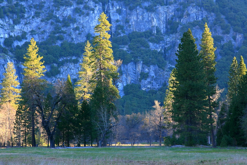IMG_8627 Sentinel Meadow, Yosemite National Park
