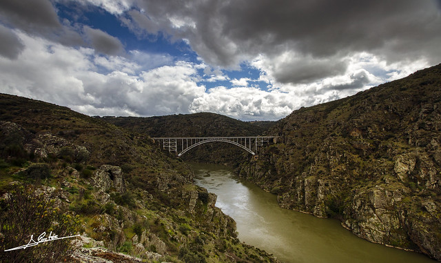 Puente de Requejo (Zamora) II