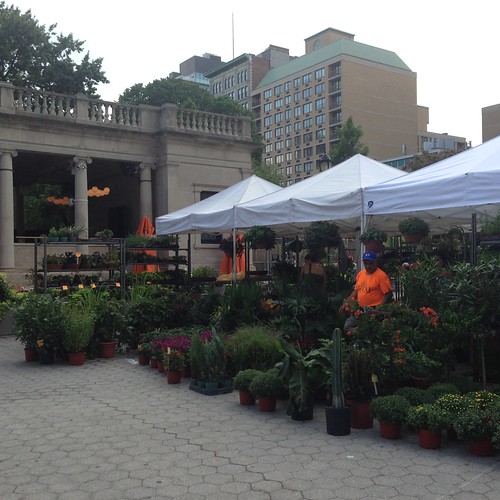 Union Square Park, Farmers Market. NYC aug2015. Nueva York