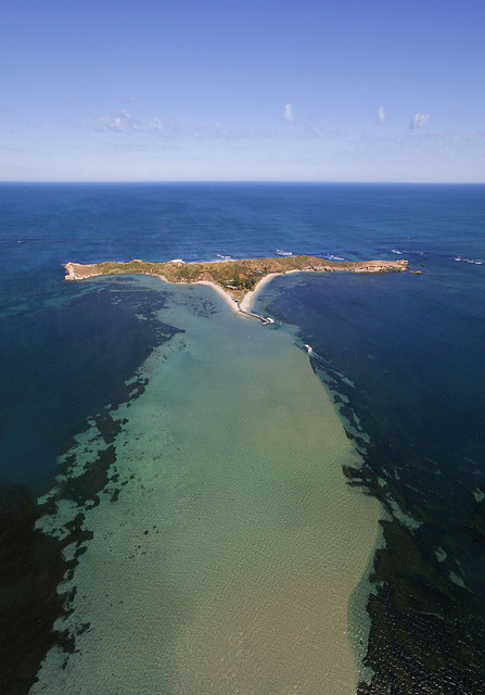 Penguin Island, Western Australia