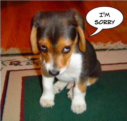 sorry-puppy