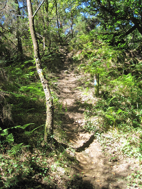 Sendero de la ruta Val de Cambás