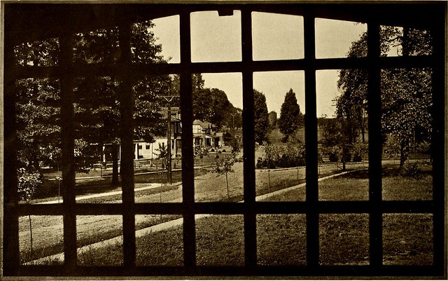 Image from page 285 of "American homes and gardens" (1905)