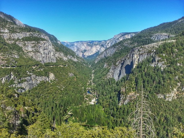 Excursión de San Francisco a Yosemite en un día ✈️ Foro Costa Oeste de USA