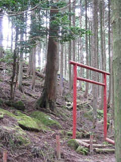 red torii gate