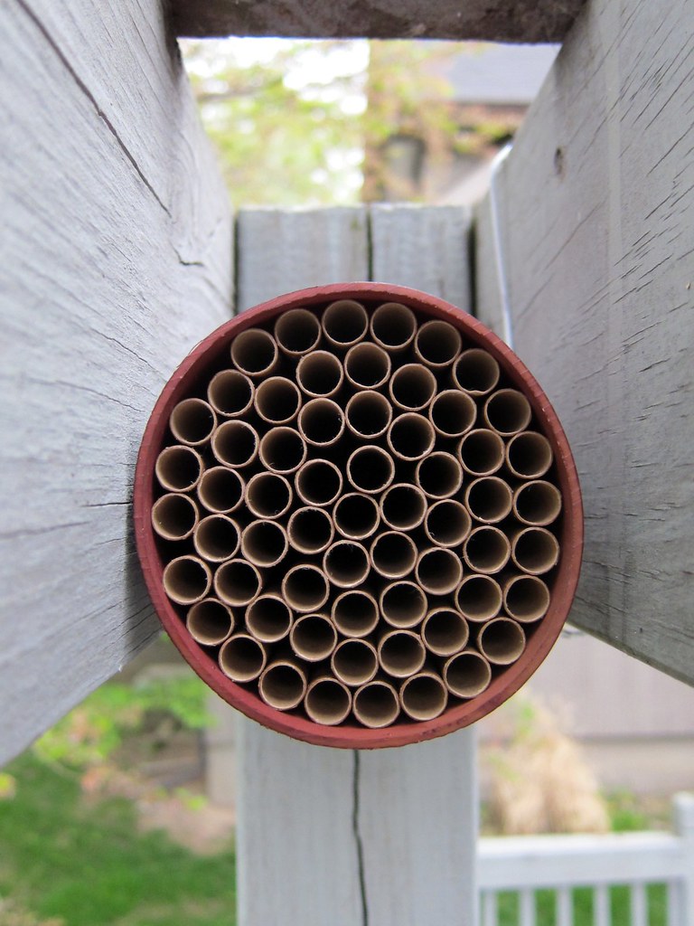 Mason bee house - Round house using replaceable rods.