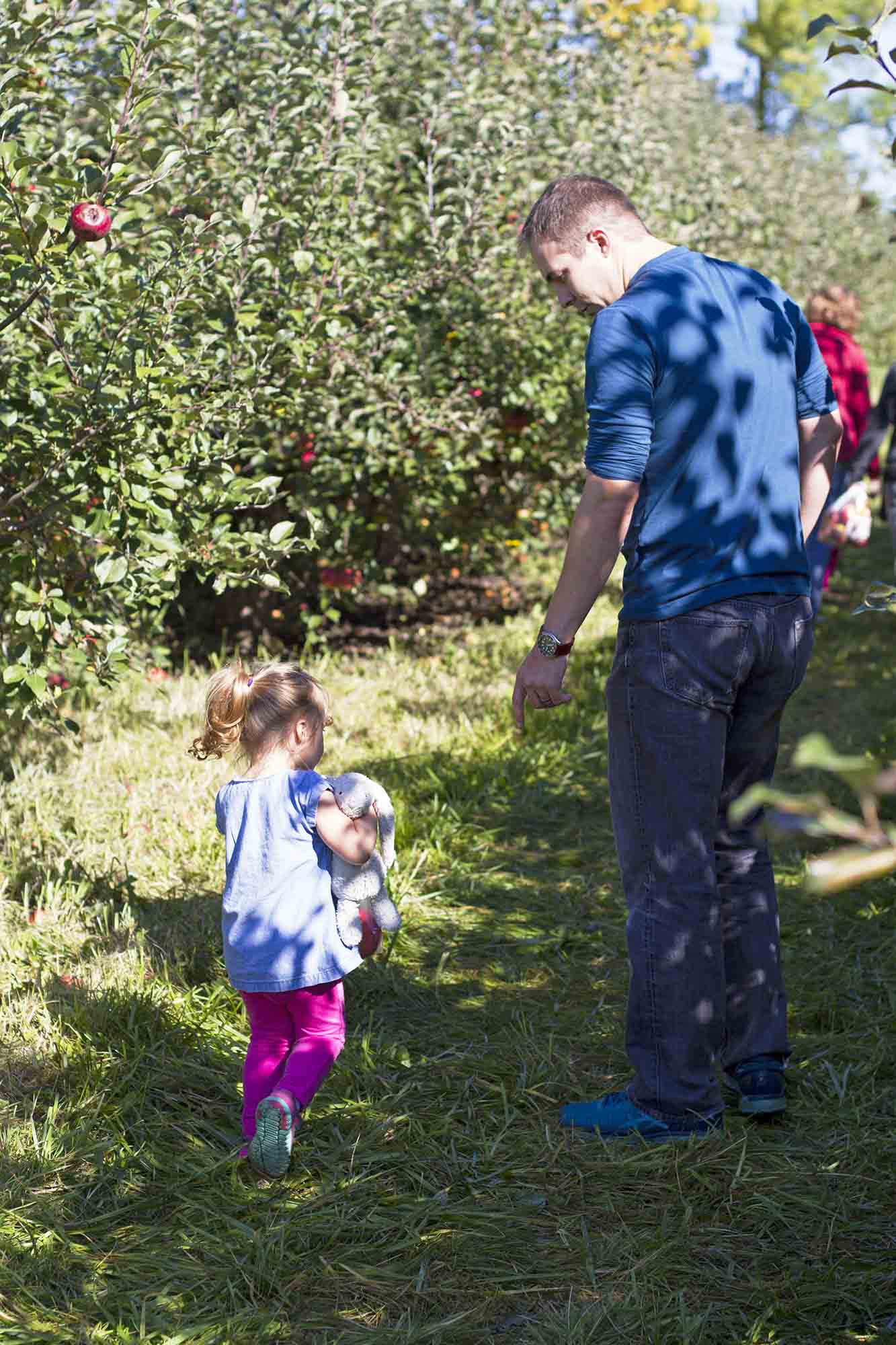 Avery at the Apple Orchard | www.girlversusdough.com @girlversusdough