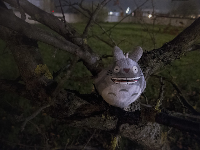 Day #272: totoro is glad he didn't have to pay taxes