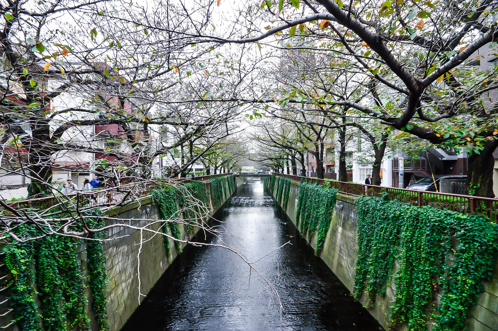 Meguro River, Nakameguro, Tokyo