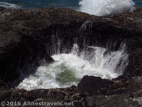 ...then the water is sucked out of Thor's Well at Cape Perpetua, Oregon