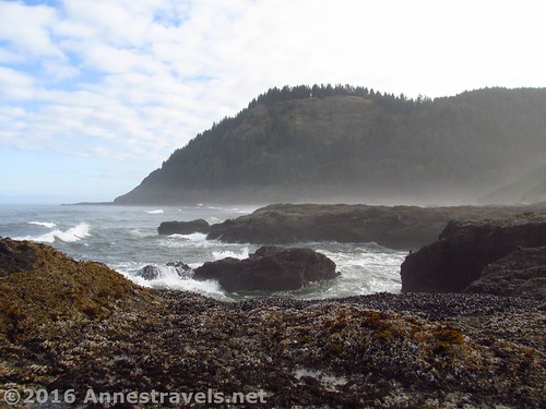 The mist begins to clear at Cape Perpetua, Oregon