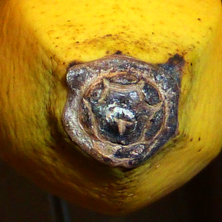 banana tip