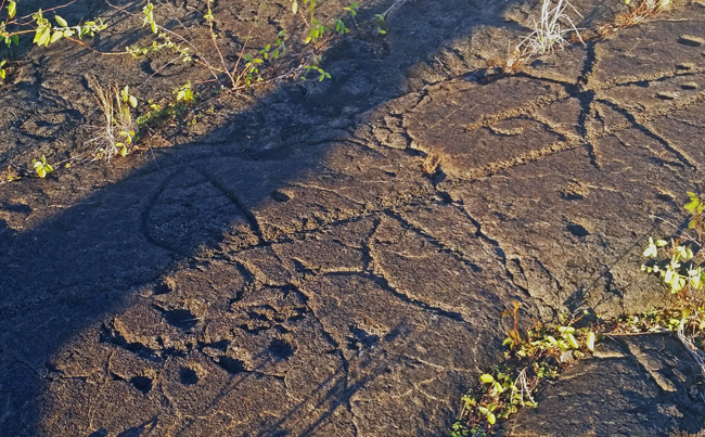 petroglyphs-in-sun