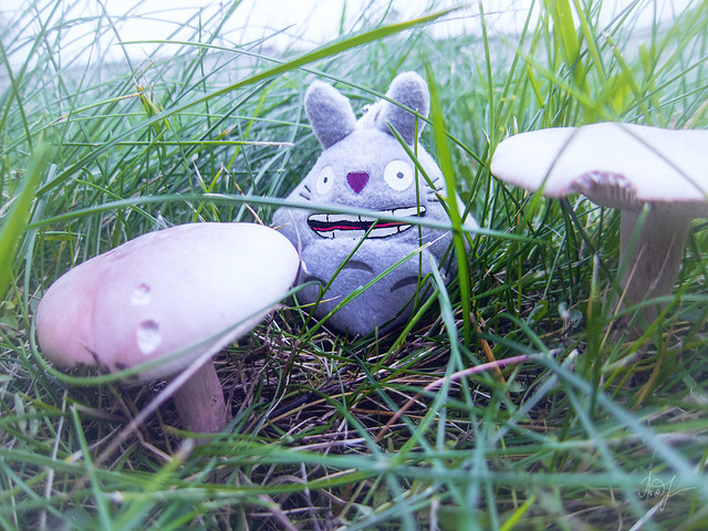 Day #287: totoro urged caution at picking mushrooms