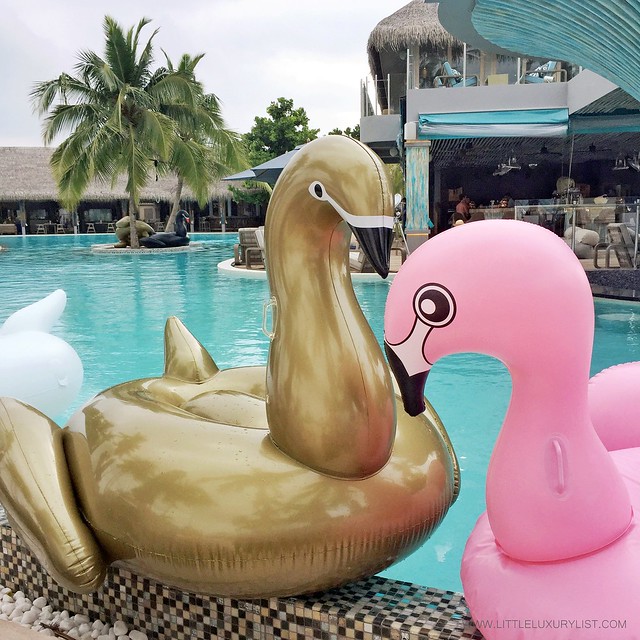 The Best Family Friendly activities on a resort swan and flamingo