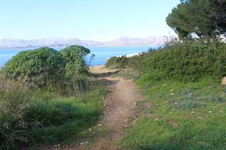 Alcudia coastal walk