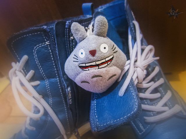 Day #332: totoro is always ready for new roads
