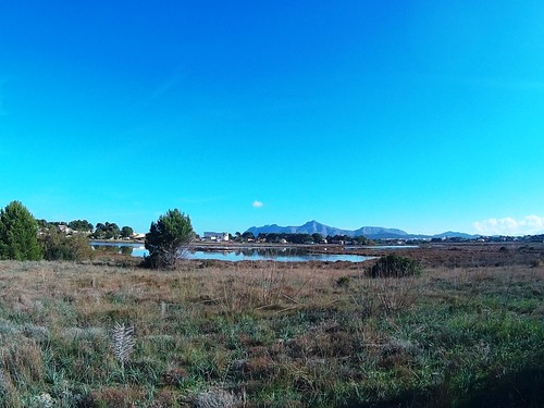 things to do in Alcudia: walk to Albufereta