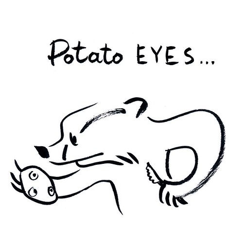 Badger and potato eyes. #badger #badgerlog #potato #potatoeyes #parenting #cooking